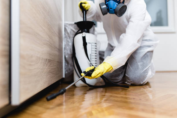 Trusted Bayou La Batre, AL Pest Control Experts