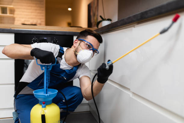 Best Exterminator Services  in Bayou La Batre, AL