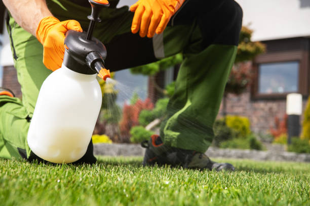 Best Flea Control Services  in Bayou La Batre, AL