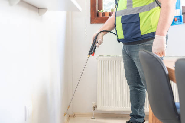 Best Termite Control Services  in Bayou La Batre, AL
