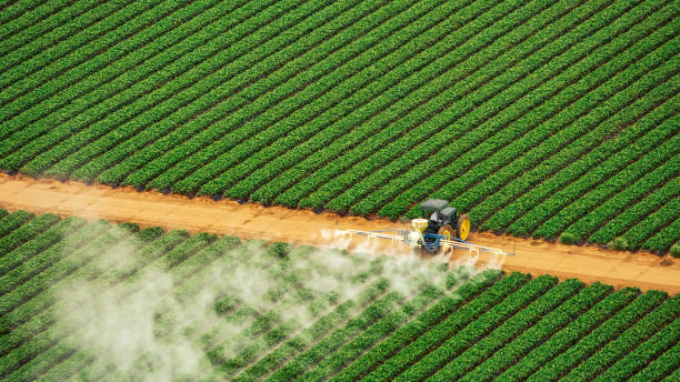 Best Pest Inspection Near Me  in Bayou La Batre, AL