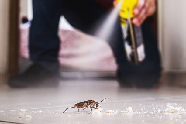 Pest Control for Restaurants in Bayou La Batre, AL