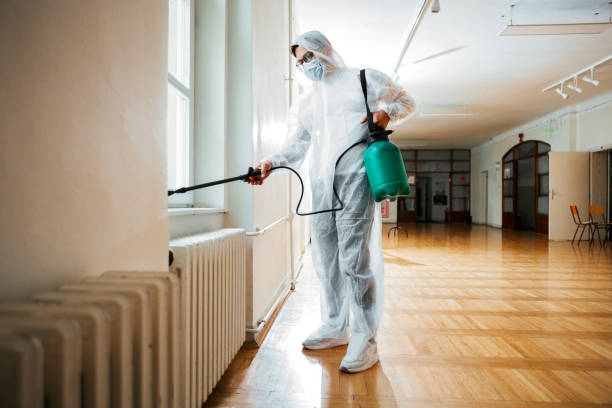 Best Pest Inspection Near Me  in Bayou La Batre, AL